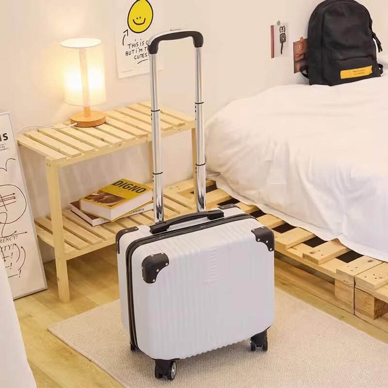 Li Shen Hardshell Spinner Carry-On Luggage