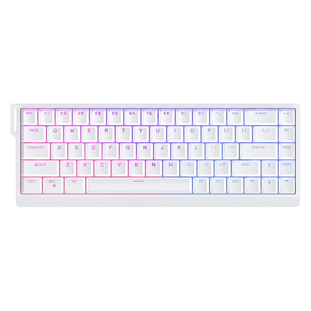 HE65 Wired Gamer Keyboards 68 Keys Magnetic Switch Compact Keyboard Hot Swappable Computer Keyboard for ESports Gaming Office