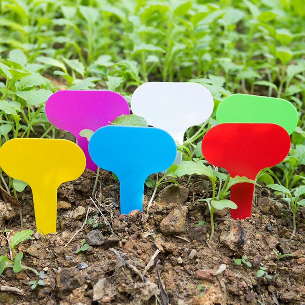 50/100Pcs Reusable Plastic Plant Markers T-type Tags Nursery Garden Decor Tags for Plants Flower Pot Tags Garden Supplies
