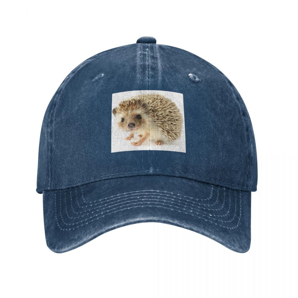 Cute Baby Hedgehog Baseball Cap Rave Hat Luxury Brand Beach Hat Unisex Luxury Unisexs Hats Womens