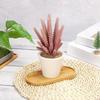 Storage Tray Bamboo Tea Cup Mat Jewelry Storage Rack Succulent Tray DIY Coaster Home Bathroom Kitchen Storage Trays