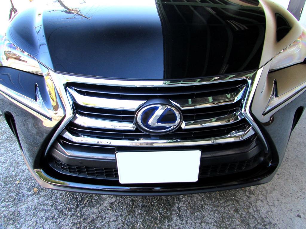 BRIGHTZ NX300h AYZ10 AYZ15 Early model Chrome front grille molding AYZ Z10 Z15 10 15 NX300 NX X300 300 LEXUS 21799 [GRI-COV-M-009]