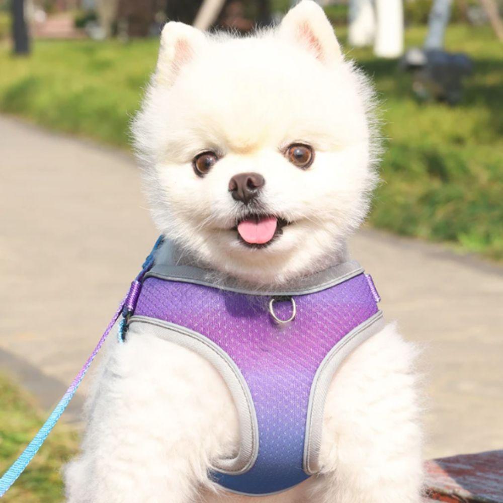 

Gradient Color Dog Harness Vest with Reflective Strap Dog Walking Leash Cats S синій/жовтий