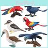 Parrot Kookaburra Model Set With Pvc Material For Childrens Educational Play And Collecting