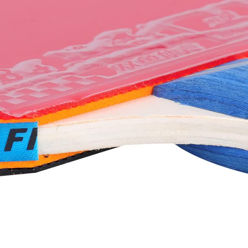 DOUBLE FISH 236A Table Tennis Racket Set (2-Pack)