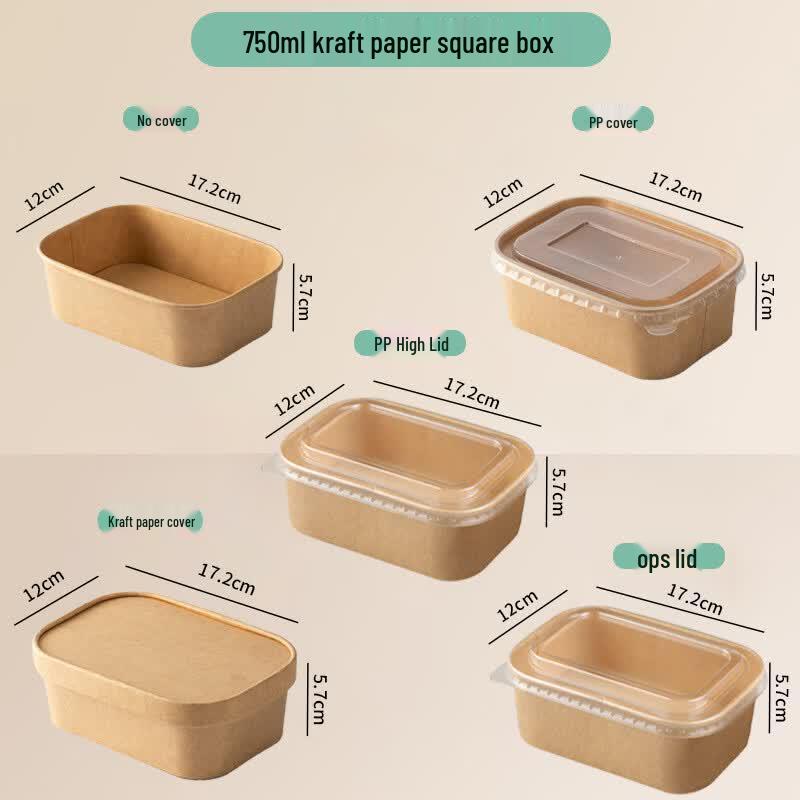 Disposable Kraft Paper Takeaway Meal Boxes