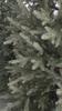 Artificial Christmas Tree Spruce Natural 100% Pe - Premium, Lifelike
