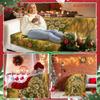 Boho Design Size Luxuriously Soft High-Quality Microfiber Blanket Perfect for Christmas Xmas Holiday Home Decoration