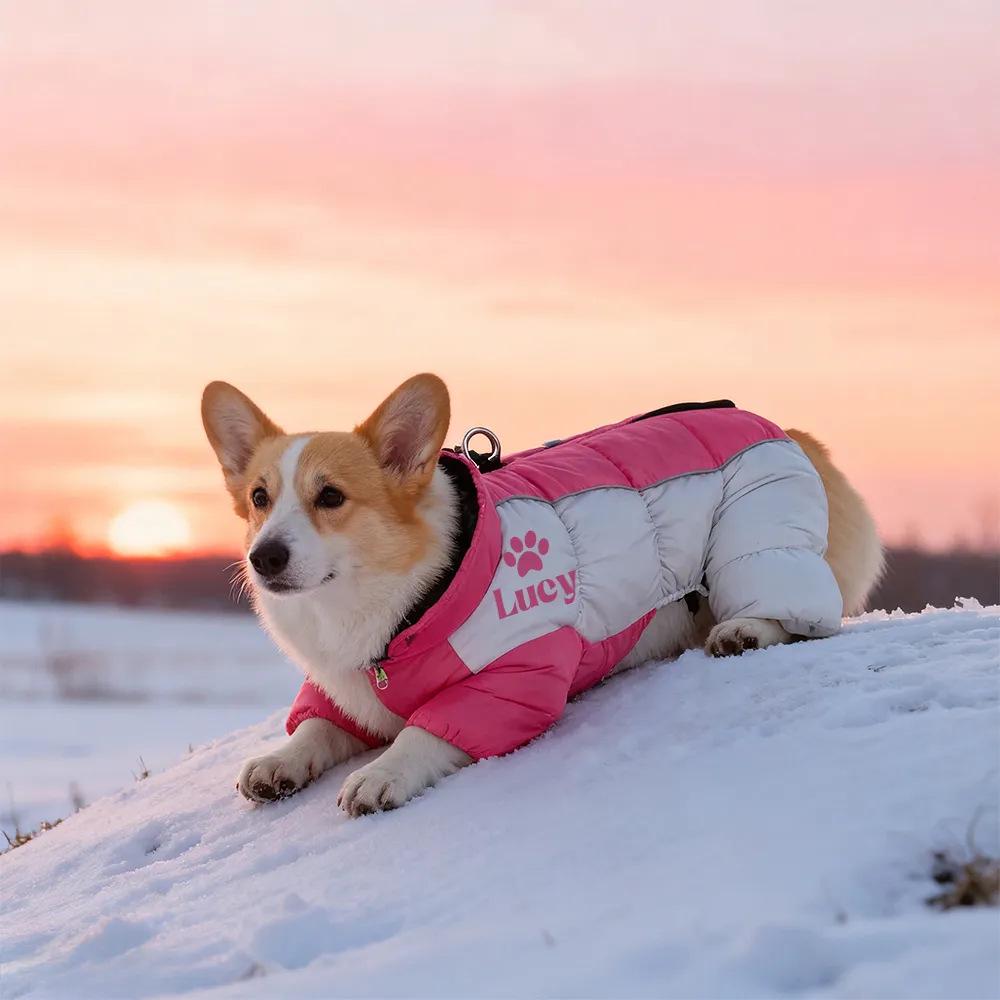 Reflektierende Wasserdichte Hundejacke - Warmer Vierbeiniger Wintermantel