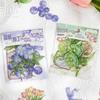 Sy & Hantverk – Scrapbooking