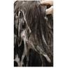 moremo Caffeine Biome Shampoo for Oily Scalp 500ml – Scalp Balance & Refreshing Care