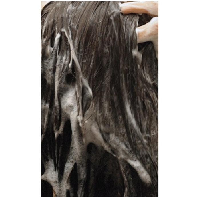 moremo Caffeine Biome Shampoo for Oily Scalp 500ml – Scalp Balance & Refreshing Care