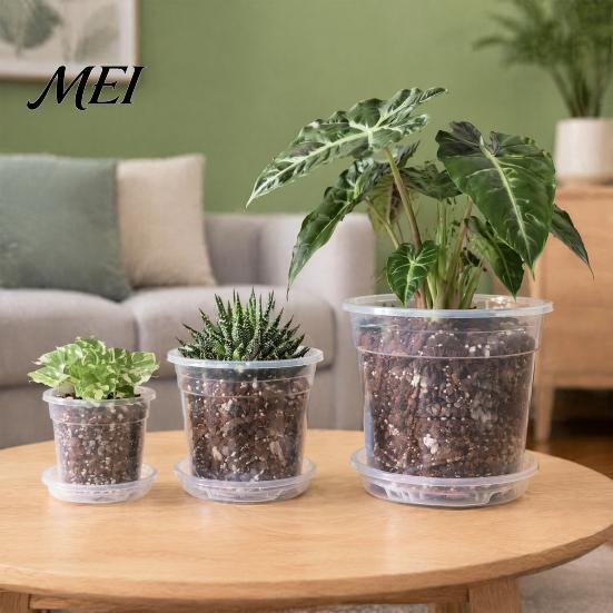 Plant Containers with Saucer Compatibility Clear Plastic Orchid Pot Saucer, Compression Resistant Basins Drainage Holes, Ventilated Flower for