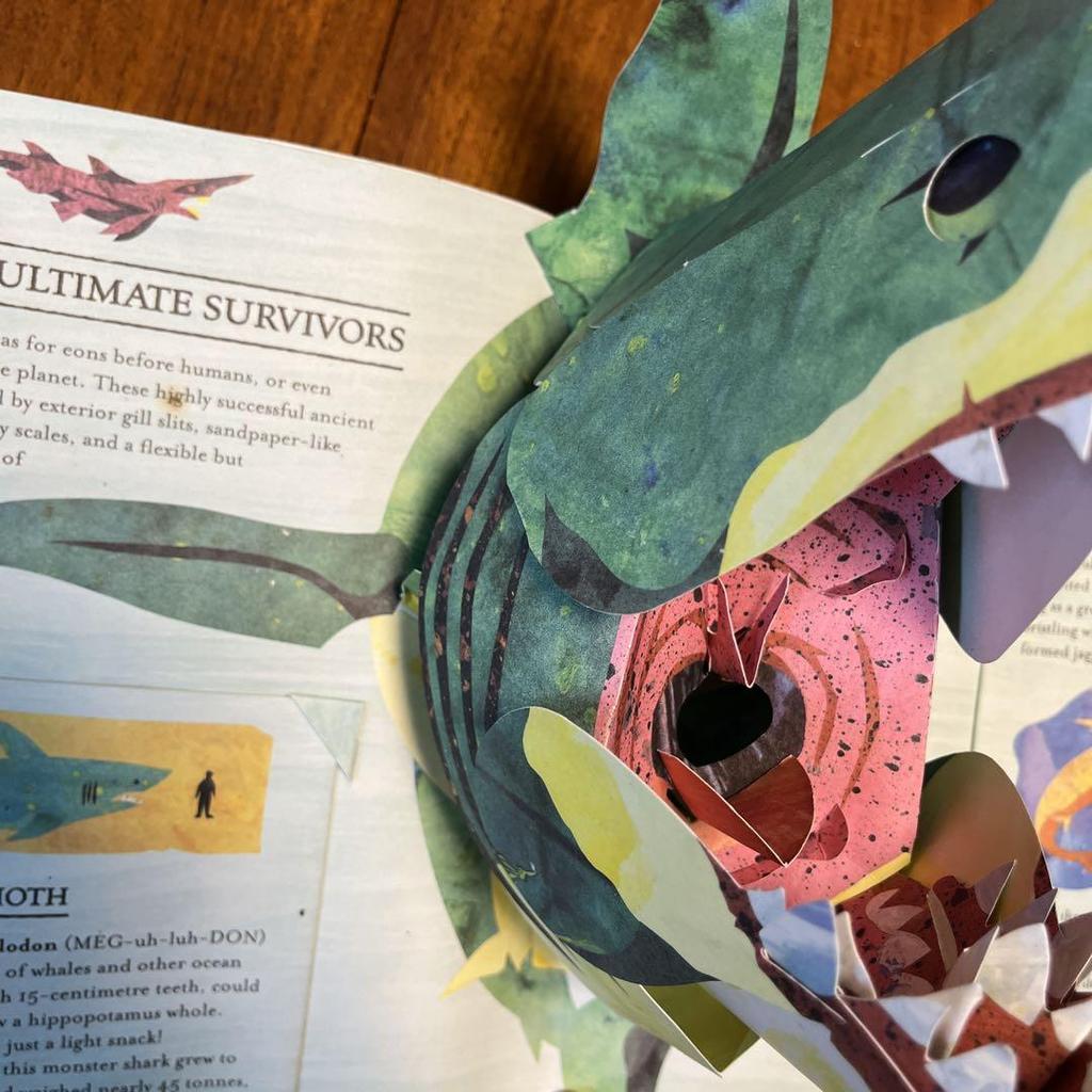 [USED] Encyclopedia Prehistorica Sharks by Robert Sabuda