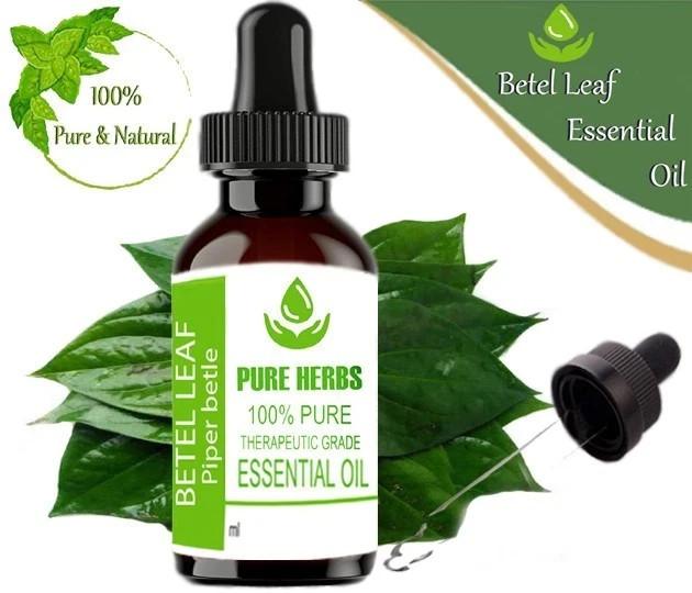 Pure Herbs Foglia di Betel 100% Puro e Naturale Olio Essenziale di Piper Betle ZA 230