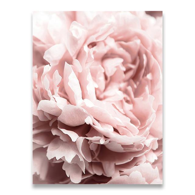 

Цветочный плакат с принтом пиона и розы, настенное искусство, цветочное искусство, холст, картина, настенная картина, скандинавская настенная картина, декор для гостиной, безрамное 21*30cm