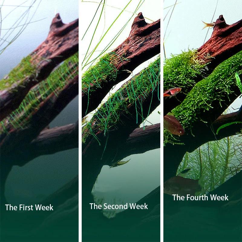 Degradable Aquarium Fish Tank Landscape Decoration Live Plant Water Grass Driftwood Floating Moss Line Fern String Wire Tie