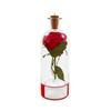 Christmas Tree Message in a Bottle Decoration for Holiday Home Decor