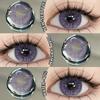 Eyeshare Contact Lens Colored 2pcs Brown Natural Lenses High Quality Yearly Beauty Pupils Fashion Eye Contacts