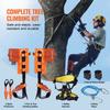 VEVOR Tree Climbing Spikes Set, 1 Pair Alloy Steel Climbing Spurs with Safety Rope and Safety Harness, 350lbs Load Capacity Tree Climbing Gear