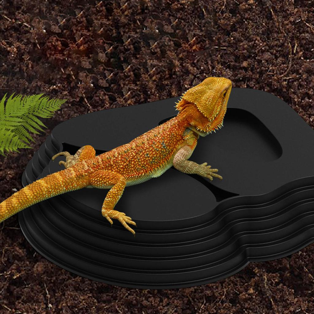 Stufendesign Reptilien Badeschale Kunststoff Terrarien Becken für Schildkröten Eidechsen Fütterung Einweichen Badepool mit Rampen