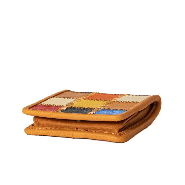 Coin case made by a baseball glove limited to directly managed genuine large coin DPC814M multicolor [Official Tryon] manufacturer, stores,