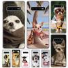 Chihuahua Puppy Teacup Dogs Cover For Samsung Galaxy S23 S22 S24 Ultra S21 Plus S20 FE Phone Case S10 + S10E S9 S8 Print Coque
