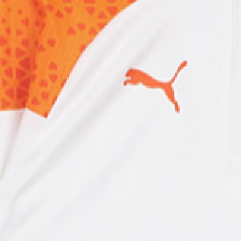 Puma Manchester City Training 1 4 Zip Top Man City