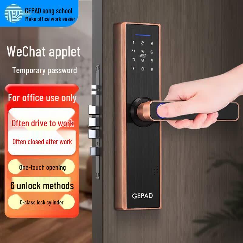 GEPAD D3 Smart Fingerprint Password Lock with Attendance CN plug (adapter included)
