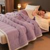 Coral Fleece Autumn Winter Warm Blankets for Bed 3 Layers Thicken Flannel Blanket Quilt Soft Comfortable Washable Warmth Quilts