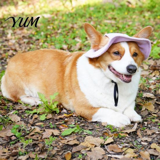 Ayarlanabilir Evcil Hayvan Şapkası Kadife Köpek Beyzbol Şapkası, Kulaklı Kedi Yazlık Plaj Vizör Şapkası Dış Mekan Koruma Delikli, Küçük Orta Boy Köpek Yavrusu Güneş Şapkası Başlık
