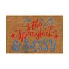 Independence Day Decorative Door Mat - Indoor Outdoor Carpet Home Floor Mat - Rubber Entrance Bathroom