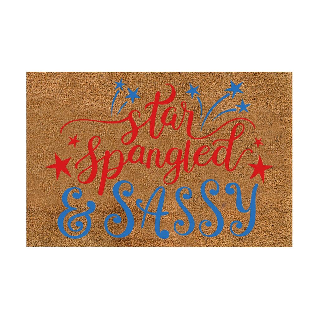 Independence Day Decorative Door Mat - Indoor Outdoor Carpet Home Floor Mat - Rubber Entrance Bathroom