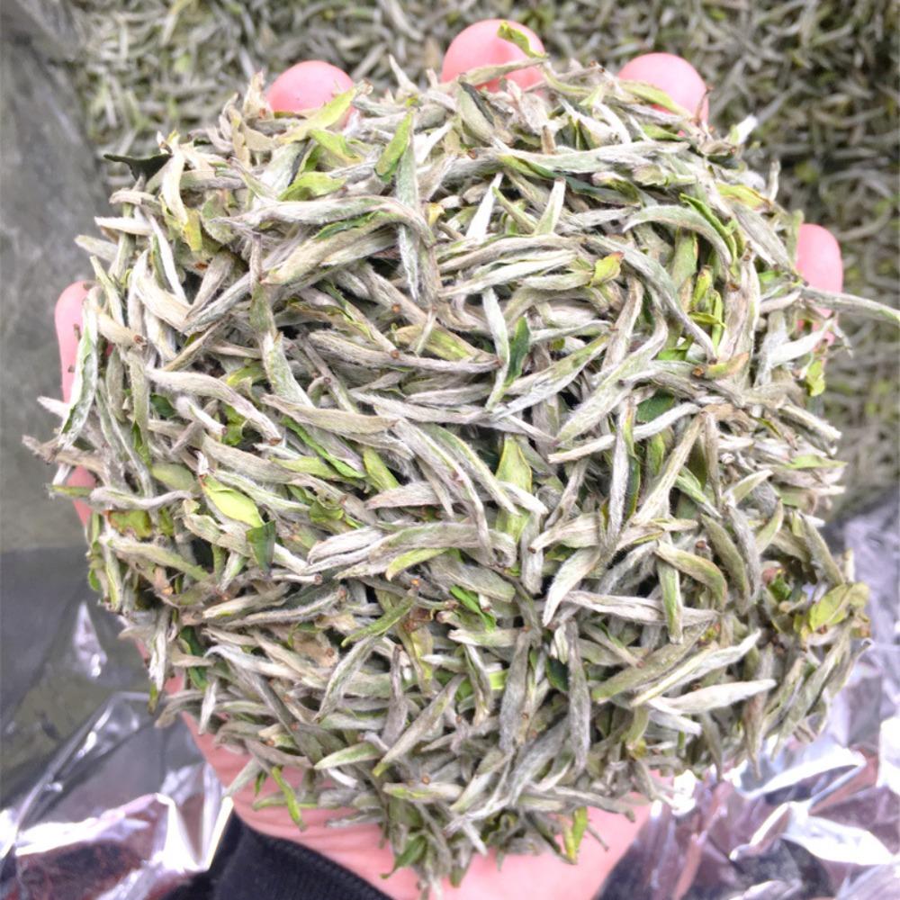 2026 Spring Tea Baihao Yinzhen 500g Alpine Sun-drying White Tea Yinzhen Loose Tea Wholesale Haoxiangmiyun Bulk