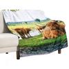 Hielan Coo Fold II Throw Blanket Comforter Wednesday Beach Thermals For Travel Blankets