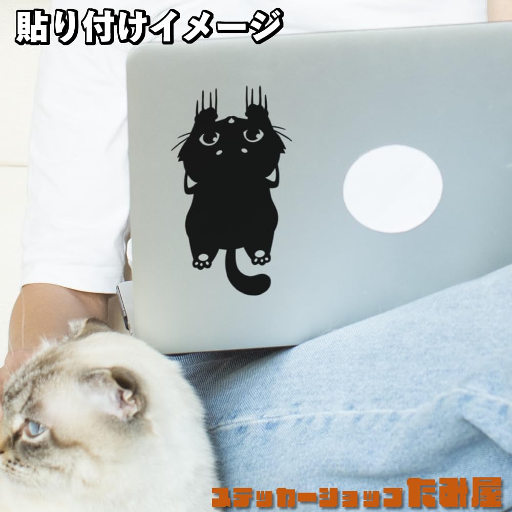[Tamiya] Slipping Cat Cutting Sticker, Color and Size Available, Weatherproof,