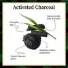 Glamezone Charcoal Foaming for Pollution & Oil Control with Activated Charcoal Face Wash (100 Ml)