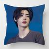 Federe fodere cuscini divani soggiorno decorazioni per la casa regali Park S-ung-hoon Cantante Pop