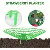 5 Pack Strawberry Plant Support - Strawberry Growing Racks with 3 Sturdy Legs, Waterproof Plant Trelli Protectors Reusable Plants Growing Frame Holder
