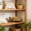 Turtle Planter Cute Animal Decor Plant Pot Garden Planter for Flowers Succulents Cactus Indoor Home Office Bedroom Living Room