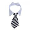 Striped Bow Tie Collar and Scarf for Dogs