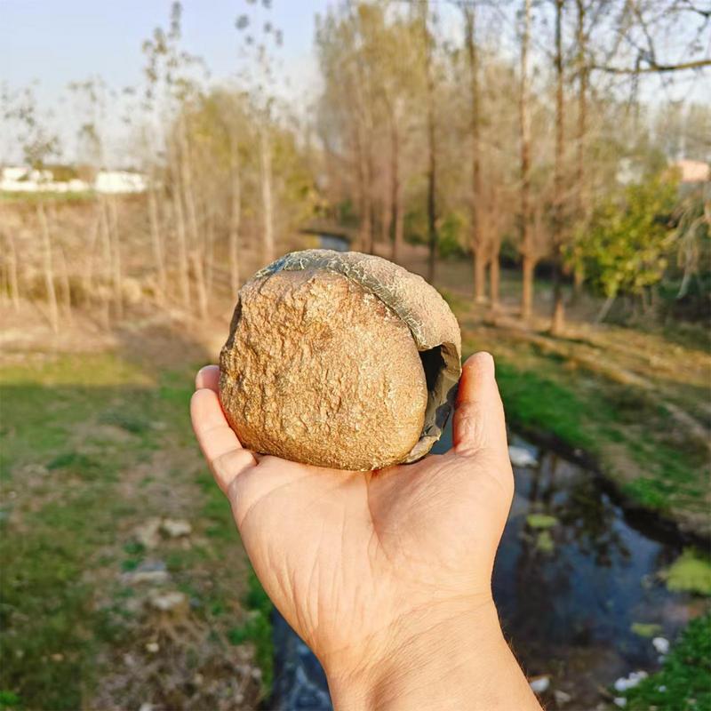 Fish Aquarium Decor Cave Magnetic Aquarium Shelter House Detachable Shrimp Residence For Hermit Crab Lizards Snakes Snails