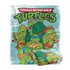 Teenage Mutant Ninja Turtles Silky Group Supersoft Throw