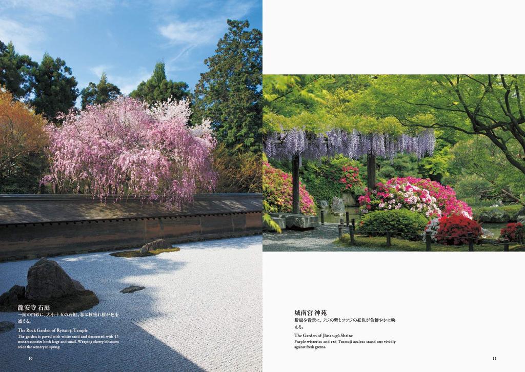 Japanese Garden Kyoto