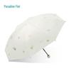 Paradise Umbrella Compact Sun & Rain Umbrella