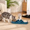 15 Degrees Raised Cat Automatic Water Dispenser Double Bowl Pet Food Container  Rabbits