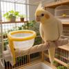 Paw Grinding Bird Feeding Cup Wear-resistant Bird Perch Stand  Pet Bird Supplies