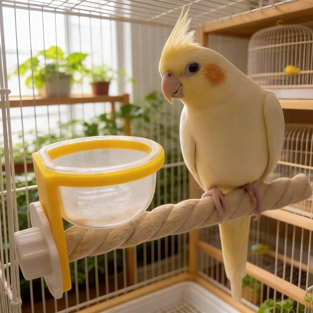 Paw Grinding Bird Feeding Cup Wear-resistant Bird Perch Stand  Pet Bird Supplies