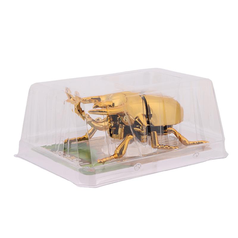 Wind Up Beetle Bionic Toys Creative Prankster Animated Insect Toy Model Beetle Children'S Battle Plastic Animals Wind Up Toy