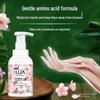 lux Antibakterielle schäumende Handseife